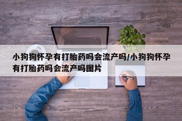 米非米索怎么买小狗狗怀孕有打胎药吗会流产吗/小狗狗怀孕有打胎药吗会流产吗图片