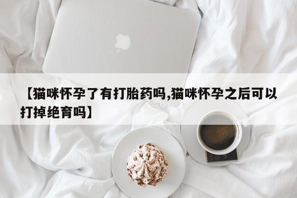 米非米索怎么买【猫咪怀孕了有打胎药吗,猫咪怀孕之后可以打掉绝育吗】