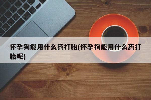 米非米索怎么买怀孕狗能用什么药打胎(怀孕狗能用什么药打胎呢)