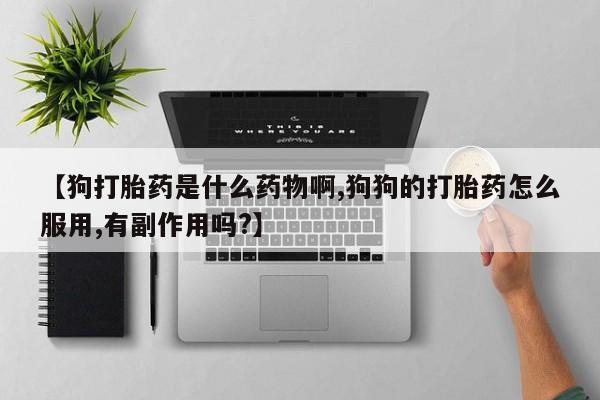 米非米索怎么买资讯 第116页